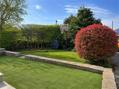 Picture 15